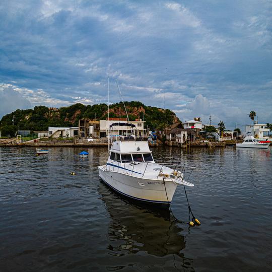 Yate personalizado de 40 pies para viajes memorables de crucero y pesca deportiva