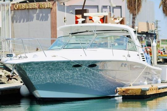 40 pieds en mer à Cabo San Lucas, au Mexique ! ! !