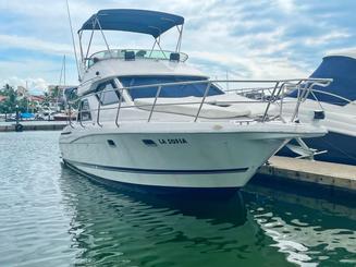 LA SOFIA | Bayliner 36ft Yacht for Cruising and Sportfishing at PV.