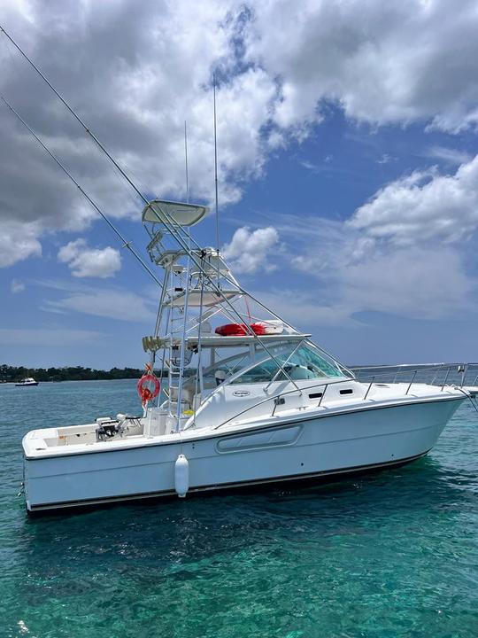 Barco para alugar em Negril 