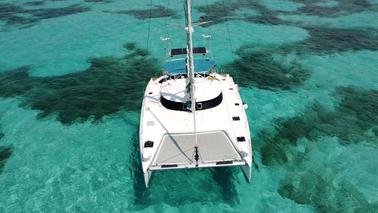 46ft Sailing Catamaran Private Charter / Capacity 45 people