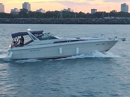 Cruise Lake Michigan Aboard 39ft Sea Ray Yacht