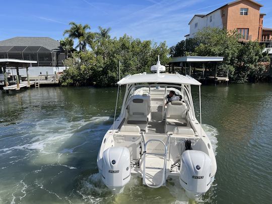 World Cat 296 DC, o melhor catamarã de equitação feito