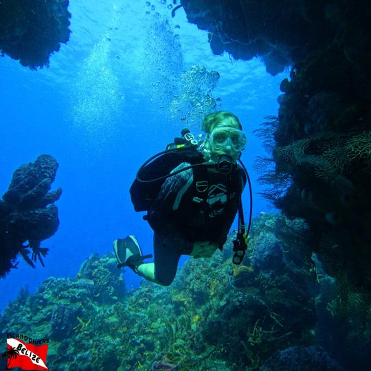 Scuba Diving at the Great Barrier Reef