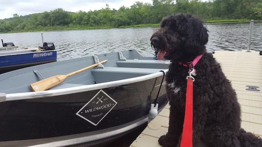 9.9hp Aluminum Fishing Boat on Otonabee River/Rice Lake