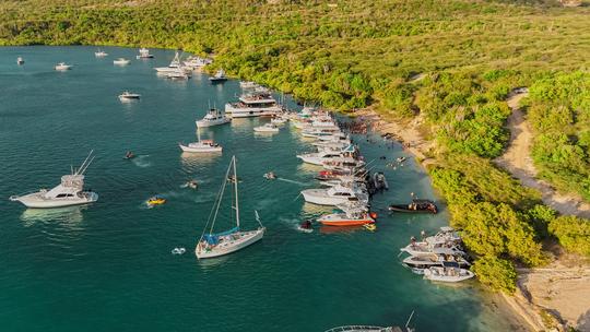 Visit multiple beaches, swim with turtles, enjoy Curacao's beautiful coastline.