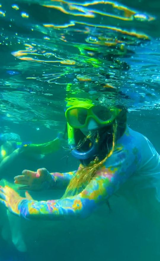 Seahorse, un bateau spécialisé pour les excursions de plongée en apnée, les excursions de plage et la plongée