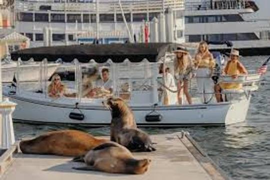 Aluguel de barco elétrico Duffy de 18 pés em Newport Beach para 8 passageiros