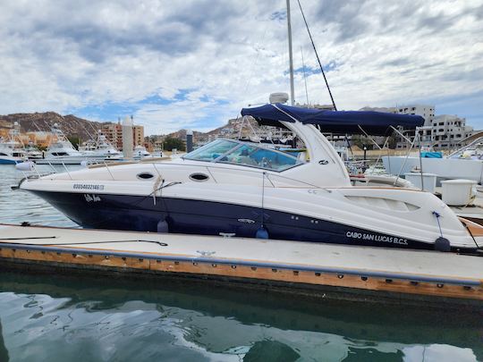 Yate a motor Sundancer de 38 pies en Cabo San Lucas