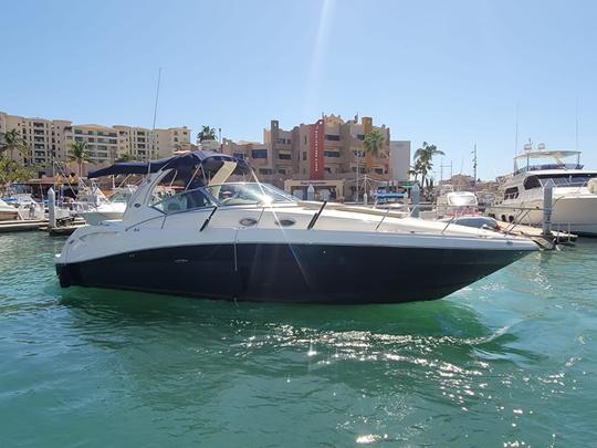 37ft Sea Ray Sundancer Yacht for Charter  in Cabo San Lucas, Baja California Sur