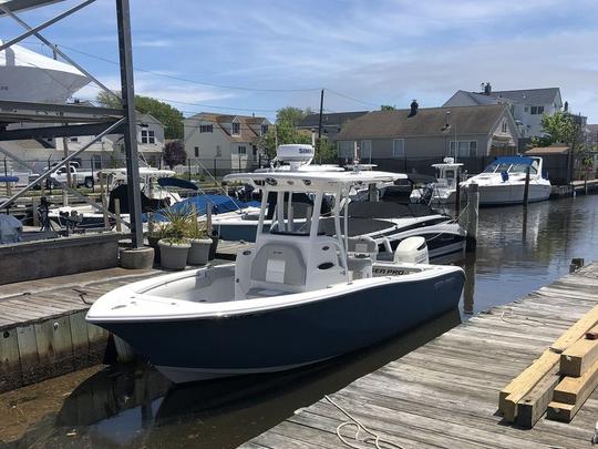 Be a Sea Pro for a Day onboard 24ft Center Console