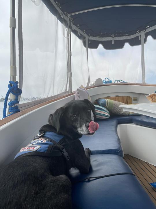 Location de bateau Duffy électrique de 2 à 3 heures pour un maximum de 12 personnes avec capitaine