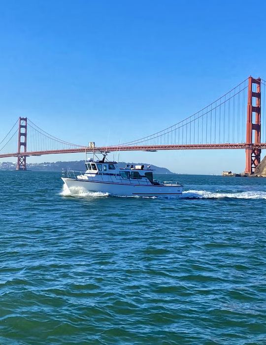 Fêtes et croisières dans la baie de San Francisco avec le Delta Yacht de 43 pieds