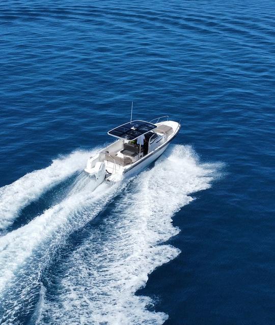 Nuevo barco de un día para viajes inolvidables | Nimbus Boat de 31 pies