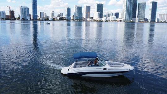 Explore Miami Beach com estilo - Alugue o barco Sundeck Blue de 26 pés!