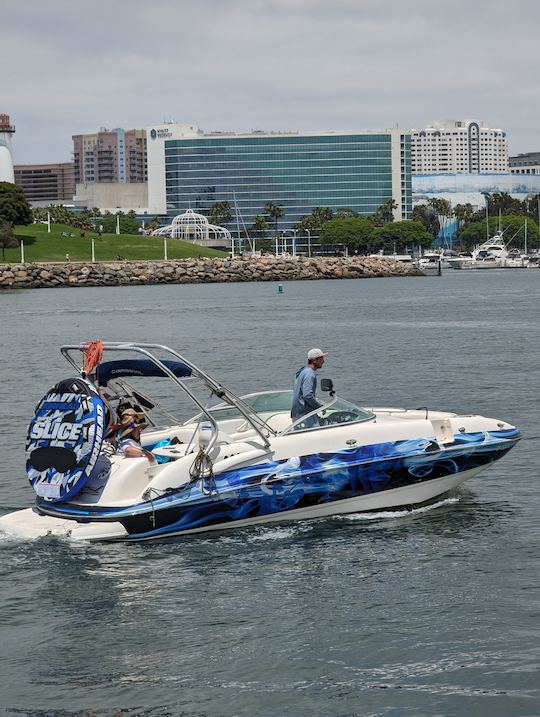 Excursão privada de observação de baleias e barco de festa