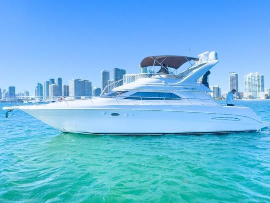 Enjoy Miami In 51FT SEA RAY FLY!!! 🌊🌊