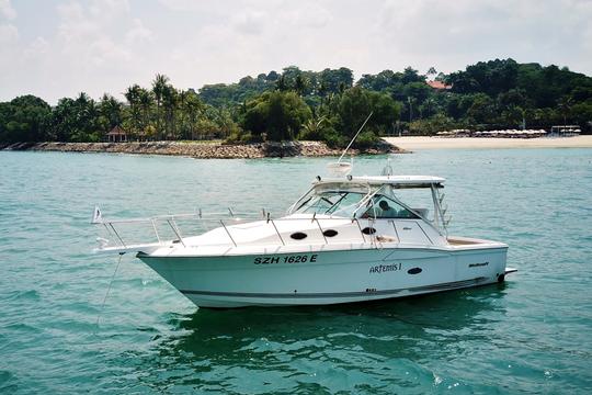 Affordable Private 34ft Yacht Charter