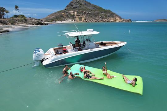 32' Boston Whaler - Rincon Boat Tour and Sun Set Ride