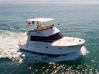 Clasic Hatteras 42 ft Yacht | Cruising & sportfishing.