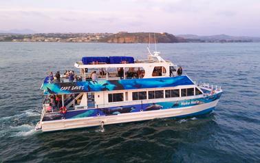 Catamarã elétrico de luxo para observação de baleias e muito mais em Dana Point