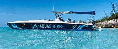 Excursion en bateau à moteur Don Smith de 45 pieds à Nassau, aux Bahamas