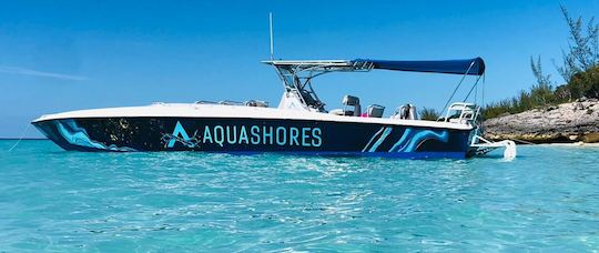 Excursion en bateau à moteur Don Smith de 45 pieds à Nassau, aux Bahamas