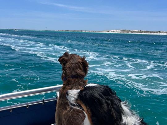  CRAB ISLAND / Dolphins / Paddleboard ADVENTURE via a Private Captained Pontoon