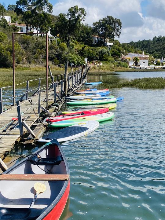 Location de planches de stand up paddle