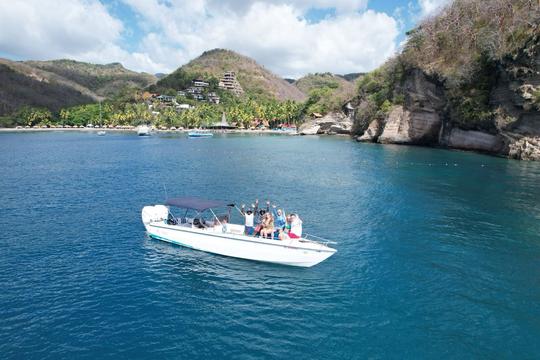 Bateau privé pour Soufrière pour visiter la cascade et le bain de boue volcanique (bateau de 31 pieds)