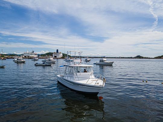 Location de yacht personnalisé de 36 pieds et de pêche sportive à Mazatlan