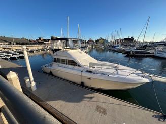 45 foot fly bridge sport yacht