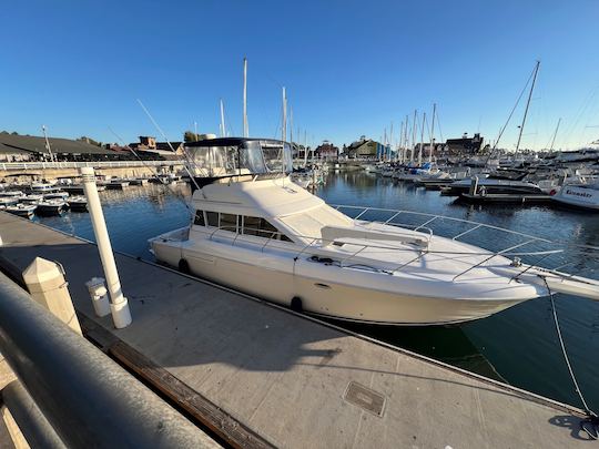 45 foot fly bridge sport yacht