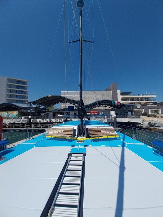 Snorkel in Catamaran & Blast of Fun, Open bar & Lunch or Dinner cruise