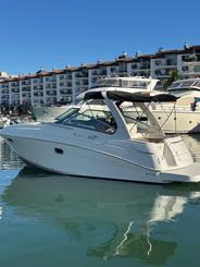 Découvrez Vallarta en bateau à bord de notre magnifique yacht de 30 pieds !