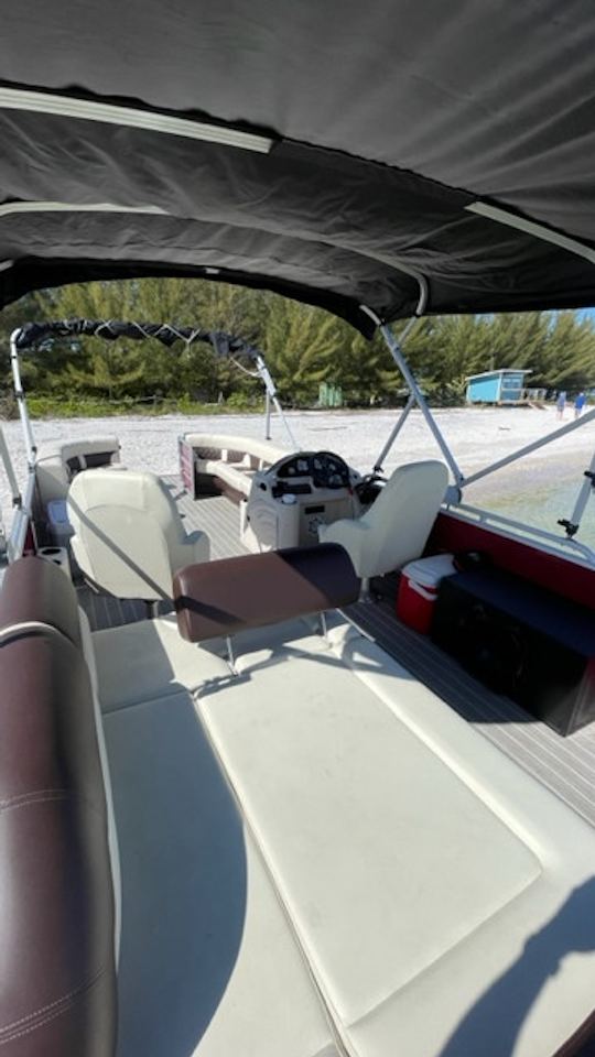 24' Lexington "Eckle" Pontoon Charter in Tampa, FL