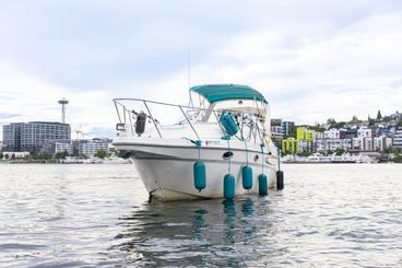 Explore Lake Union/WA!📍Enclosure☔️😎✅Toilet💩✅⚓️✅ ⛽️OnMyTime✅ 29’ 🛥️