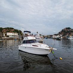 36ft Viking Yacht & Sportfishing Charter in Mazatlan