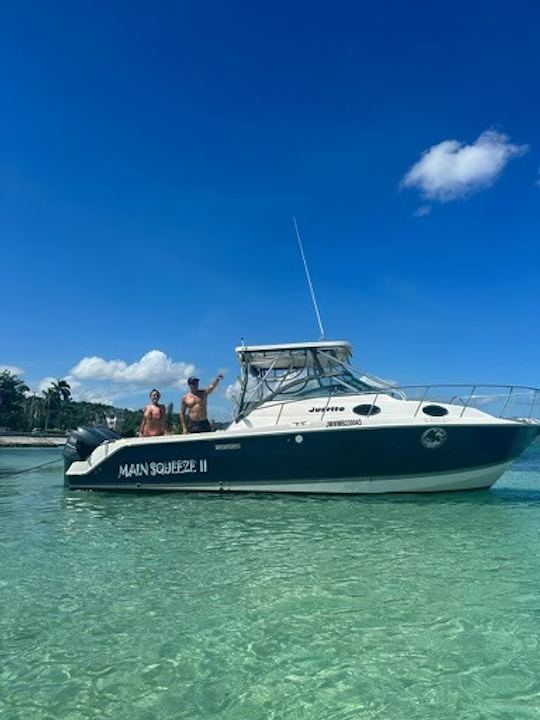 MainSqueeze-Private Boat Charters🏝️🇯🇲Rum Punch, snorkeling,Music included.