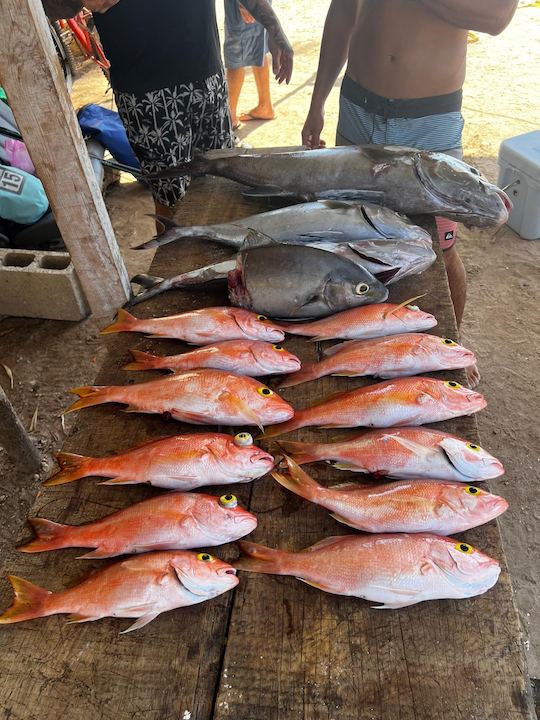 Pesca y esnórquel en alta mar en una Yamaha de 25 pies