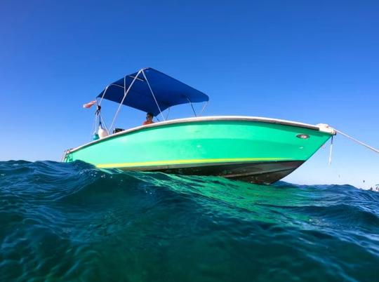 Mergulho com snorkel em Holchan e Shark Ray Alley em Ambergris Caye