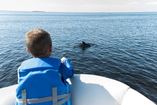 Ponton de fête en édition premium avec toboggan pouvant accueillir jusqu'à 14 personnes