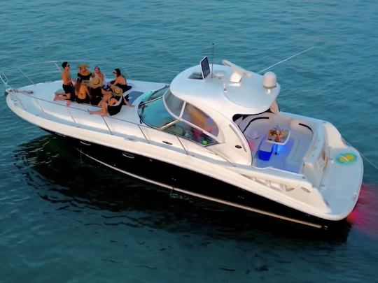 1 Hour free - Yacht in Miami: Sea Ray Sundancer 50ft