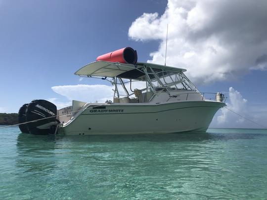 Grady White 33' - Palomino/Icacos - Culebra Vieques (Up to 10 people)