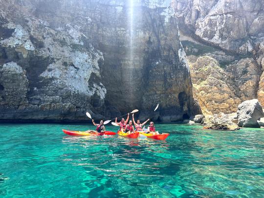 Uncharted Marine Reserve Cave, Snorkel & Cliff Jumping Kayak Tour