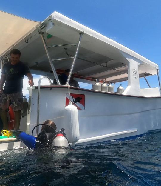 Location de plongée en bateau à double moteur à Tamarindo, Costa Rica - Excursion de plongée