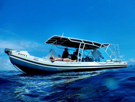 Seahorse, un bateau spécialisé pour les excursions de plongée en apnée, les excursions de plage et la plongée