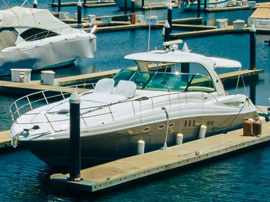 Yacht à moteur de luxe Sea Ray 52 pieds 