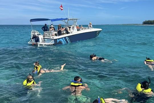 Promenade en hors-bord de 45 pieds vers Rose Island avec déjeuner et visites