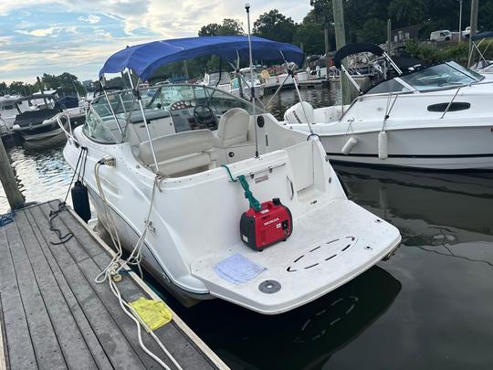 Bayliner 45 Cruiser - Bateau à louer à Washington DC !